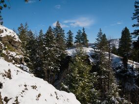 ![A snow covered cliff with trees in the background.