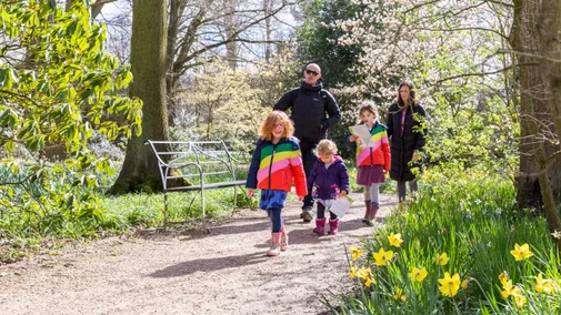 A family walking through a park with daffodils in the background.