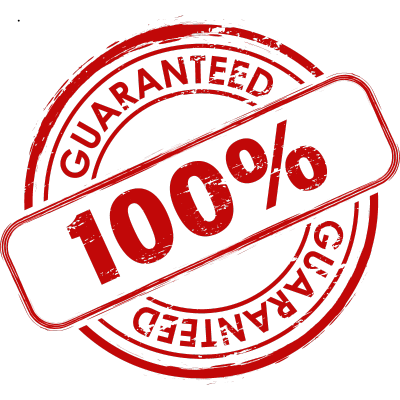 Red seal showing "Guaranteed" with "100%" written prominently in the center, providing a visual seo guarantee.